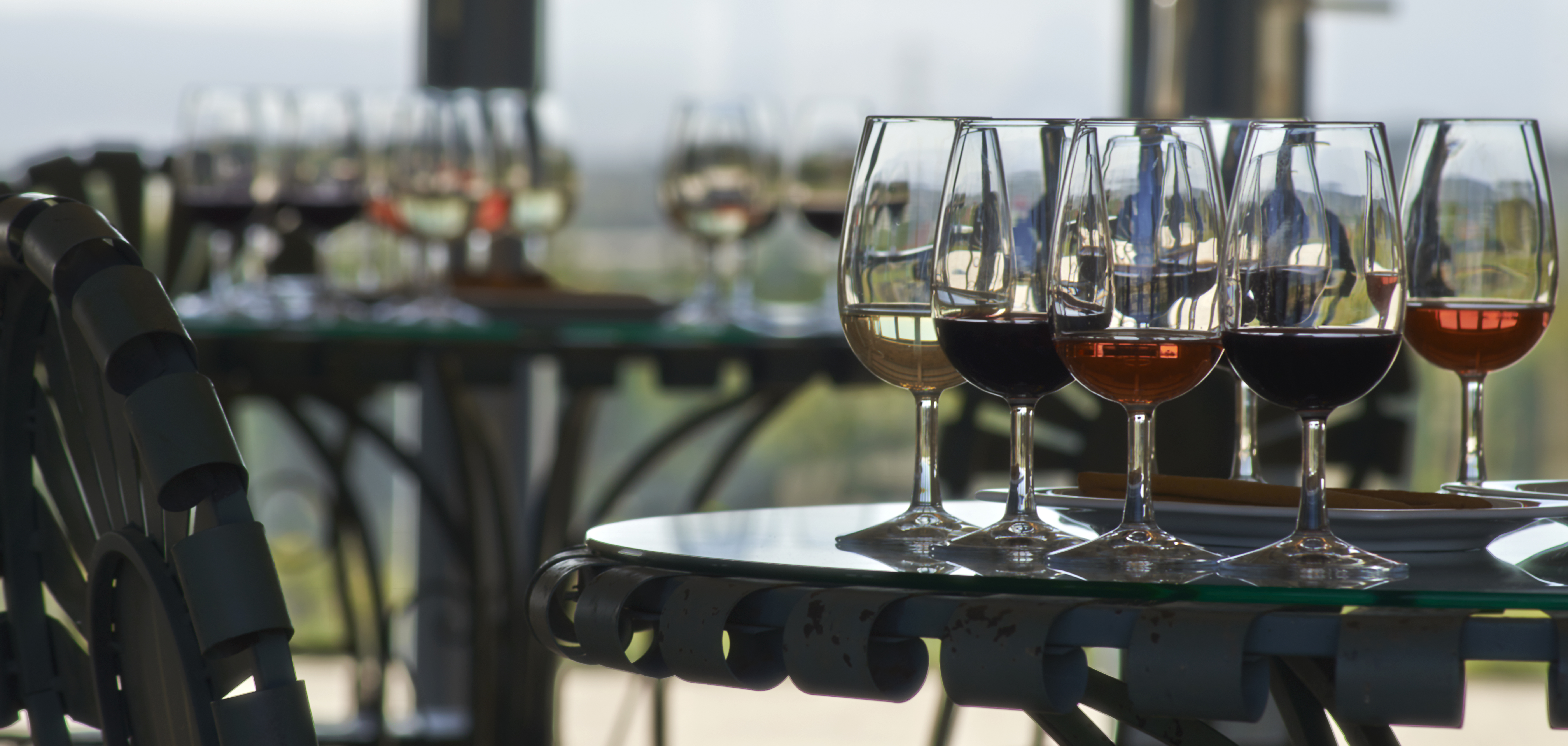 Our Wines